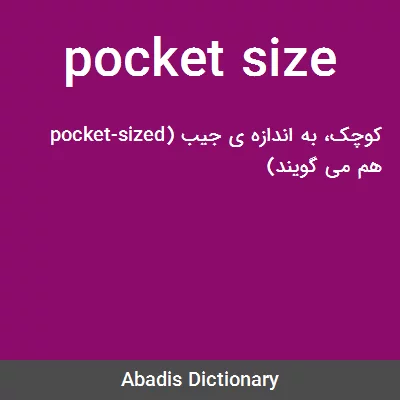 معنی pocket size